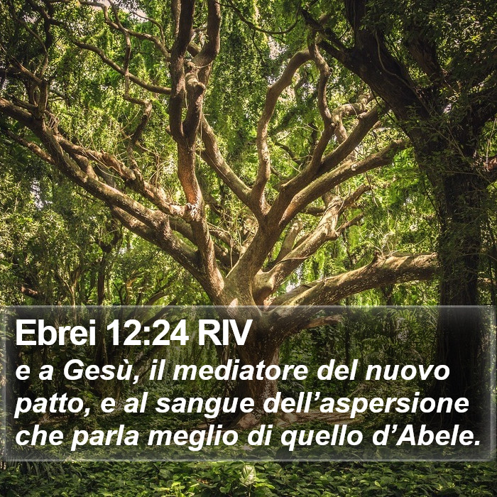 Ebrei 12:24 RIV Bible Study