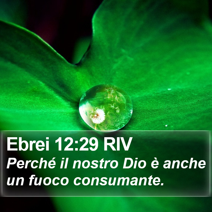 Ebrei 12:29 RIV Bible Study