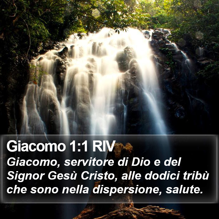 Giacomo 1:1 RIV Bible Study