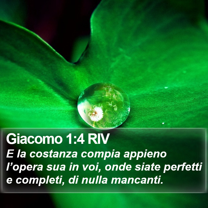 Giacomo 1:4 RIV Bible Study