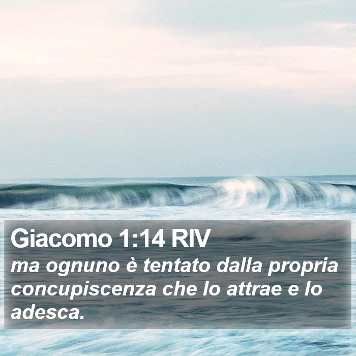 Giacomo 1:14 RIV Bible Study