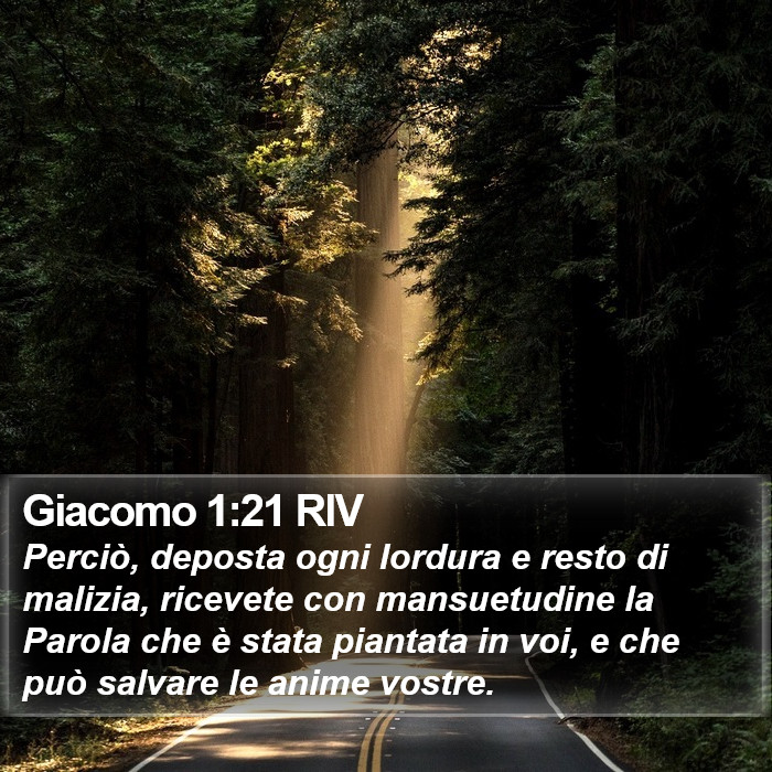 Giacomo 1:21 RIV Bible Study