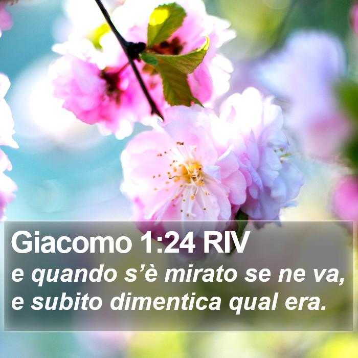 Giacomo 1:24 RIV Bible Study