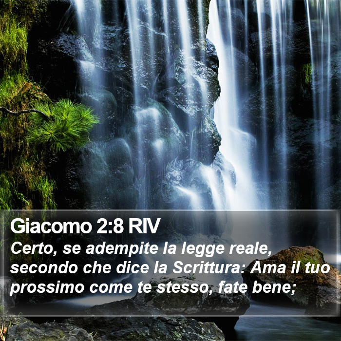 Giacomo 2:8 RIV Bible Study