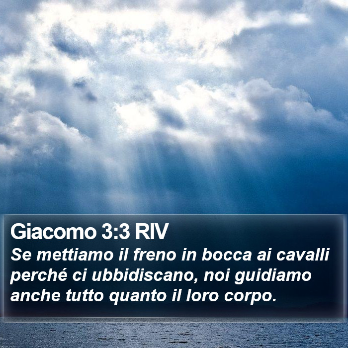 Giacomo 3:3 RIV Bible Study