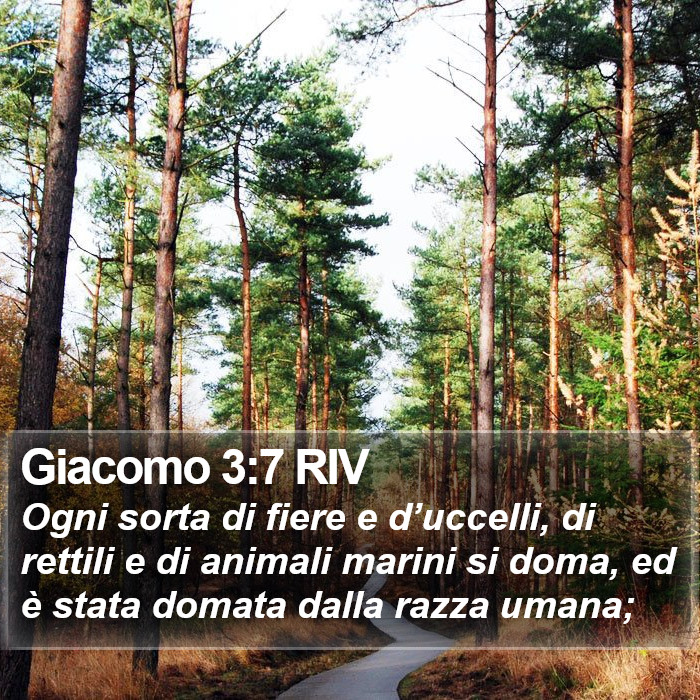 Giacomo 3:7 RIV Bible Study