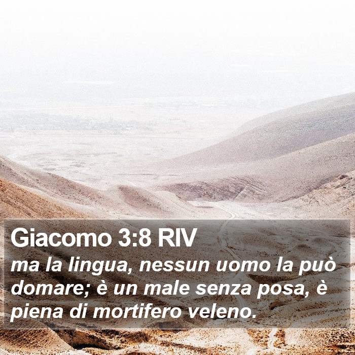 Giacomo 3:8 RIV Bible Study