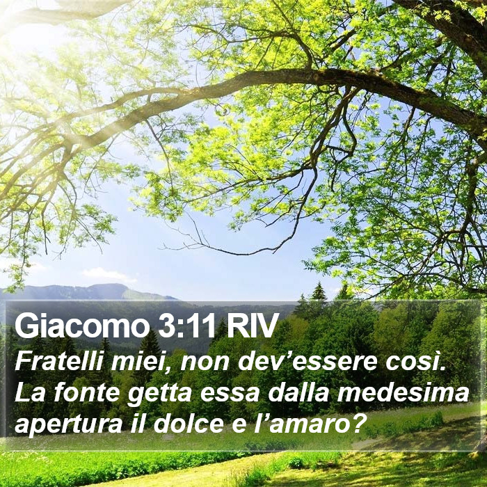 Giacomo 3:11 RIV Bible Study