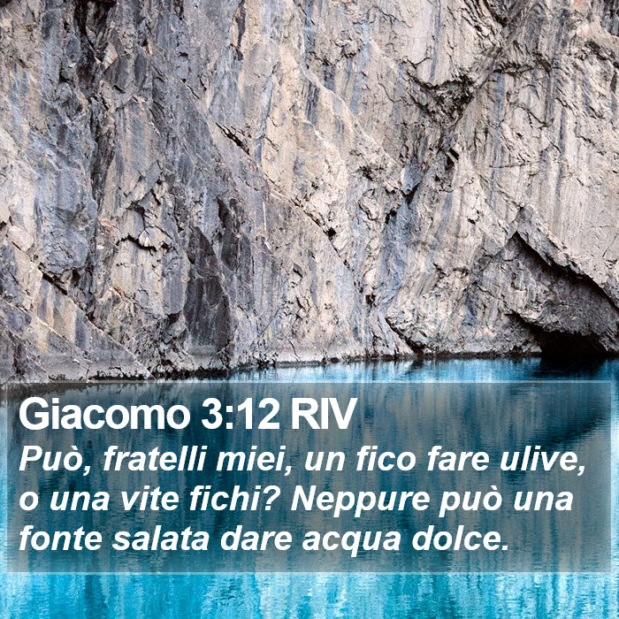 Giacomo 3:12 RIV Bible Study