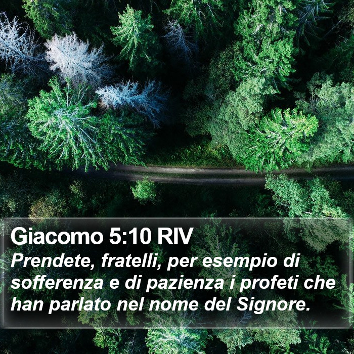 Giacomo 5:10 RIV Bible Study
