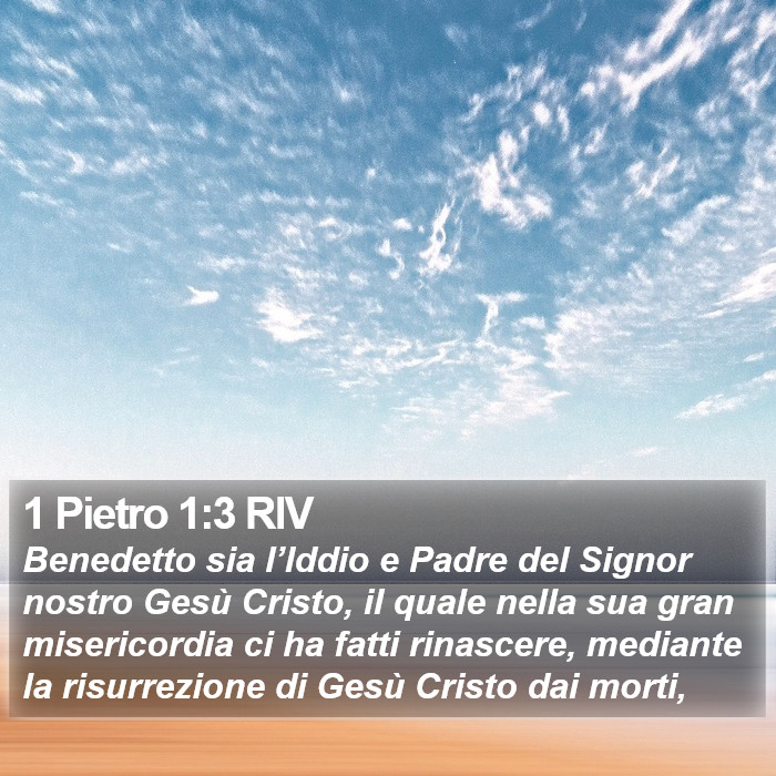 1 Pietro 1:3 RIV Bible Study