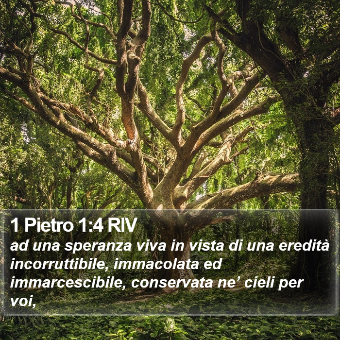 1 Pietro 1:4 RIV Bible Study