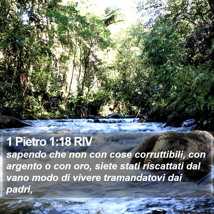 1 Pietro 1:18 RIV Bible Study