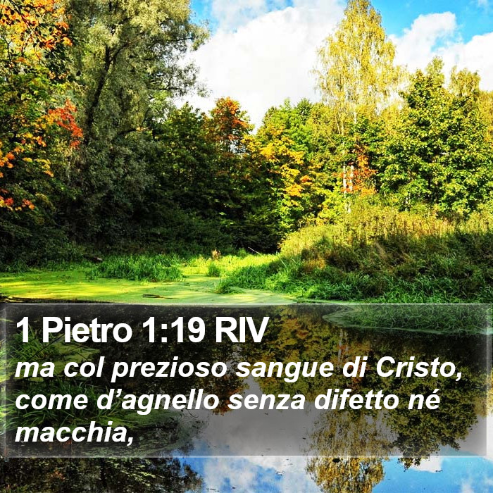 1 Pietro 1:19 RIV Bible Study