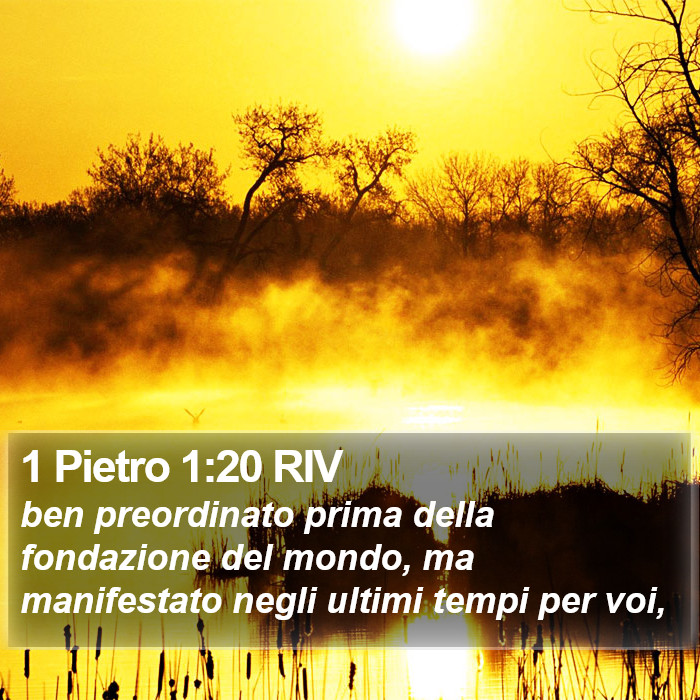 1 Pietro 1:20 RIV Bible Study