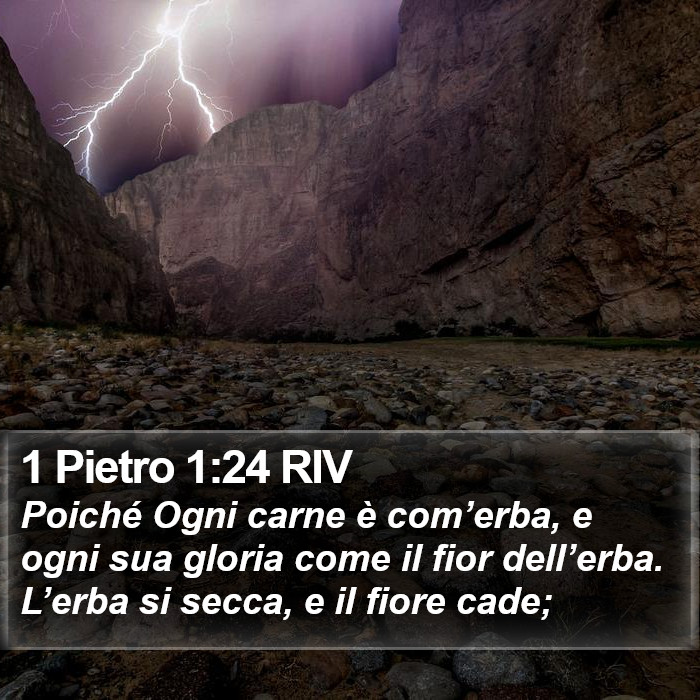 1 Pietro 1:24 RIV Bible Study