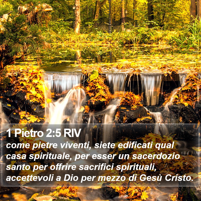 1 Pietro 2:5 RIV Bible Study