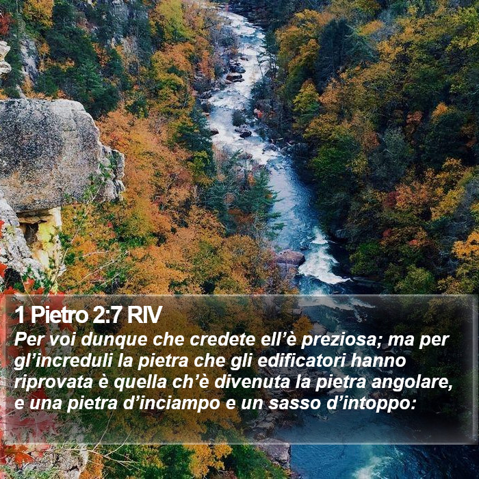 1 Pietro 2:7 RIV Bible Study