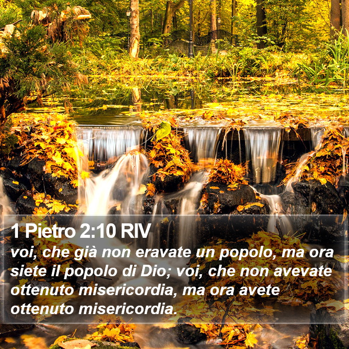 1 Pietro 2:10 RIV Bible Study