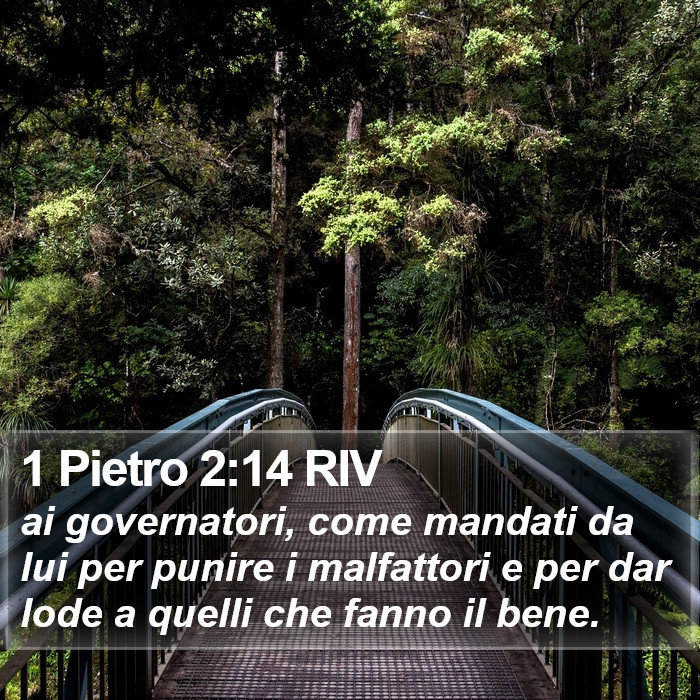 1 Pietro 2:14 RIV Bible Study