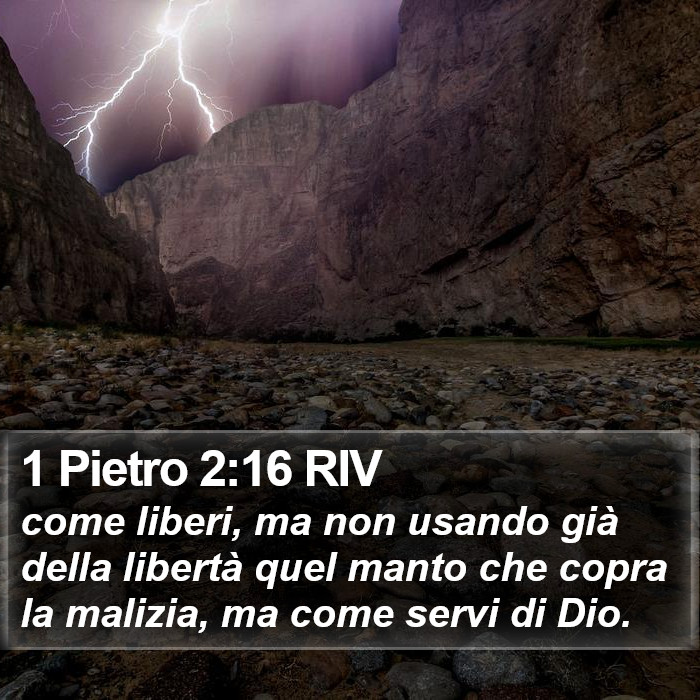 1 Pietro 2:16 RIV Bible Study