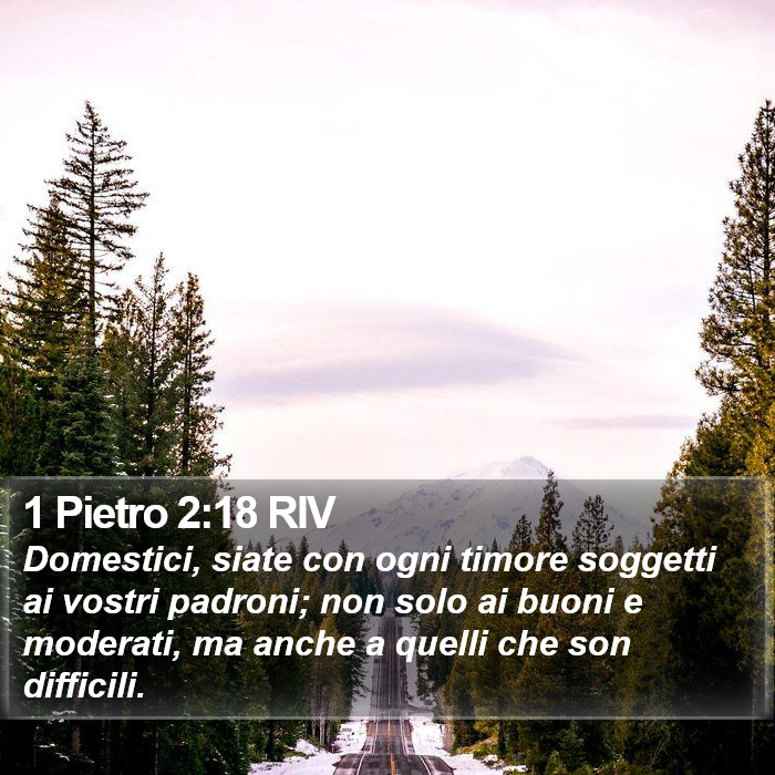 1 Pietro 2:18 RIV Bible Study