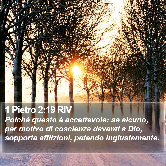 1 Pietro 2:19 RIV Bible Study