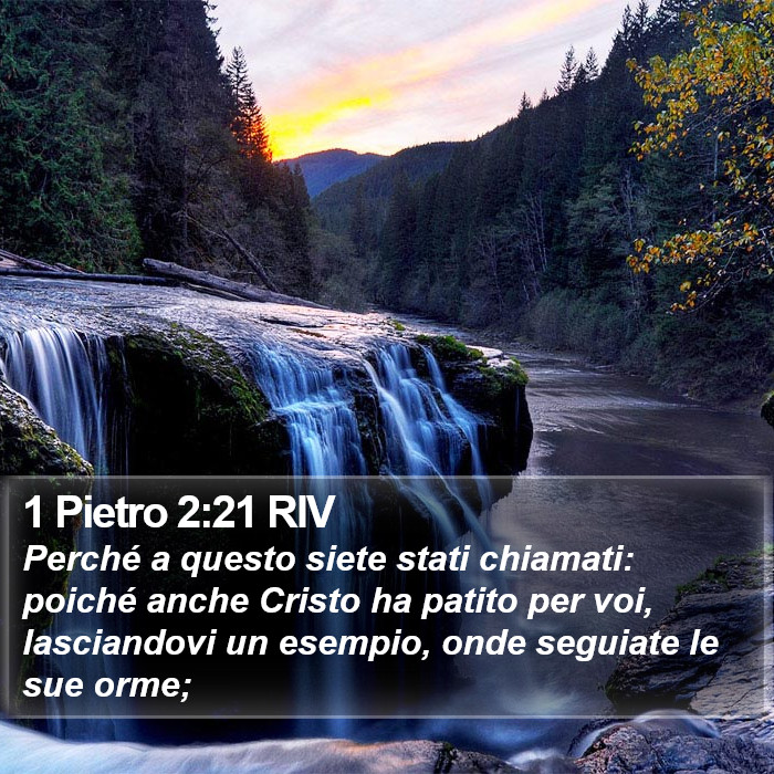 1 Pietro 2:21 RIV Bible Study