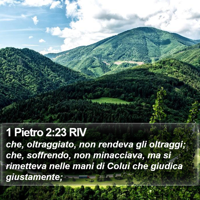 1 Pietro 2:23 RIV Bible Study