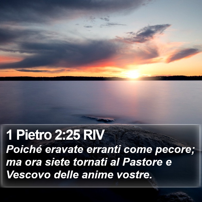 1 Pietro 2:25 RIV Bible Study