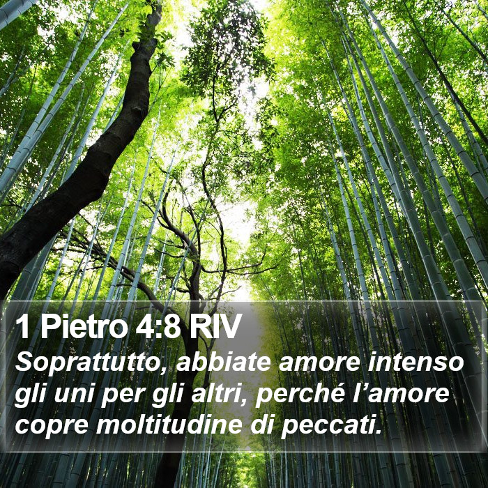 1 Pietro 4:8 RIV Bible Study