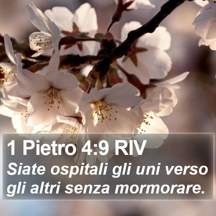 1 Pietro 4:9 RIV Bible Study
