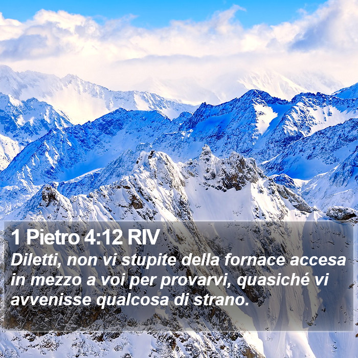 1 Pietro 4:12 RIV Bible Study