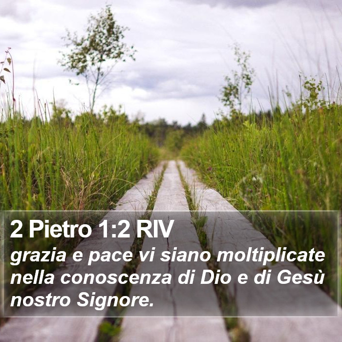 2 Pietro 1:2 RIV Bible Study