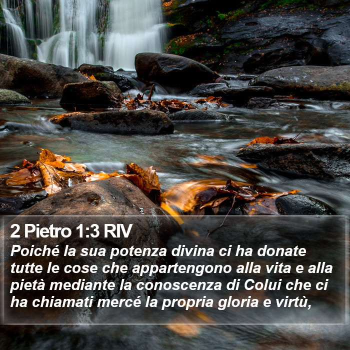 2 Pietro 1:3 RIV Bible Study