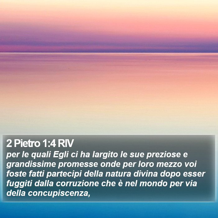 2 Pietro 1:4 RIV Bible Study