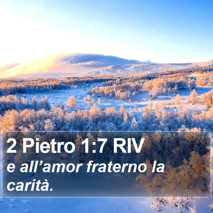 2 Pietro 1:7 RIV Bible Study