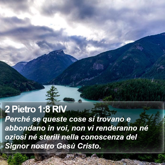 2 Pietro 1:8 RIV Bible Study