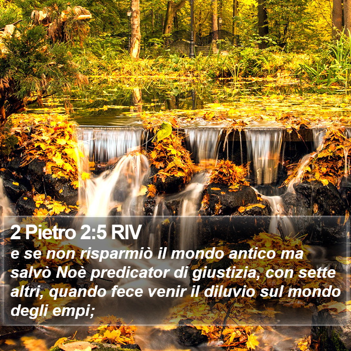 2 Pietro 2:5 RIV Bible Study