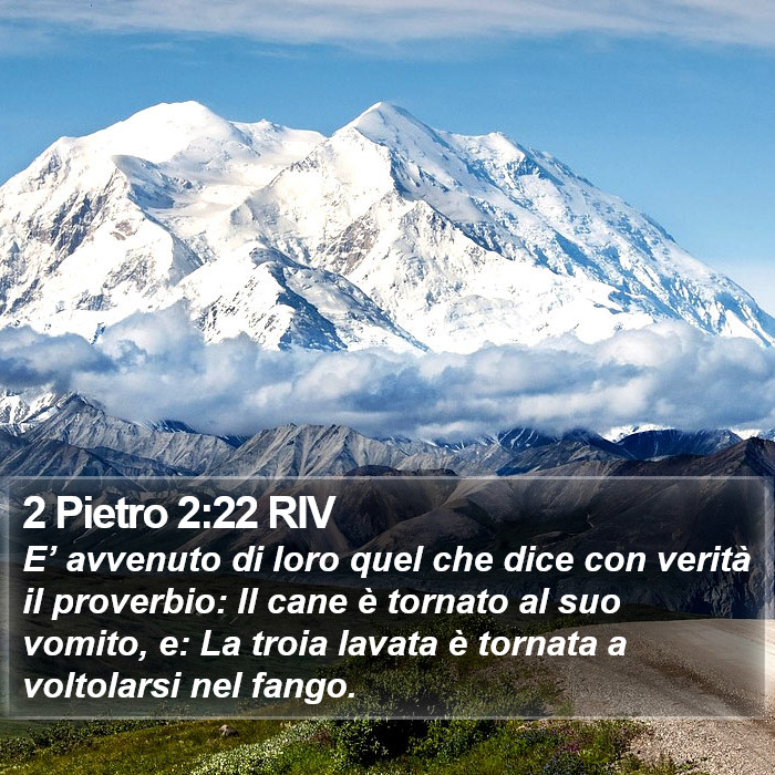 2 Pietro 2:22 RIV Bible Study