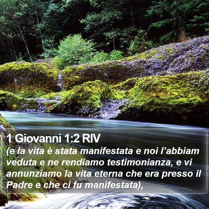 1 Giovanni 1:2 RIV Bible Study