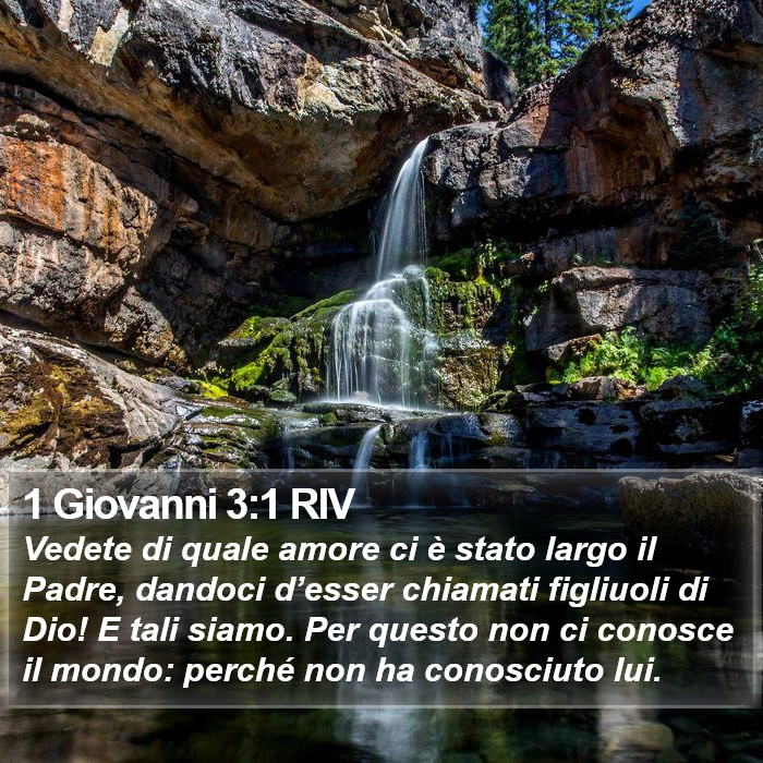 1 Giovanni 3:1 RIV Bible Study