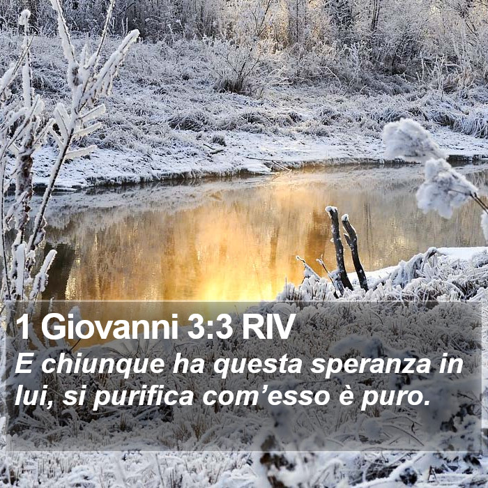 1 Giovanni 3:3 RIV Bible Study