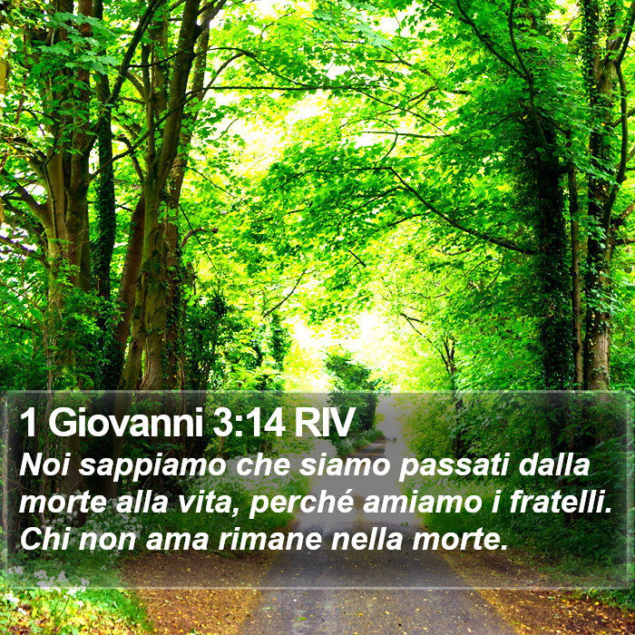 1 Giovanni 3:14 RIV Bible Study