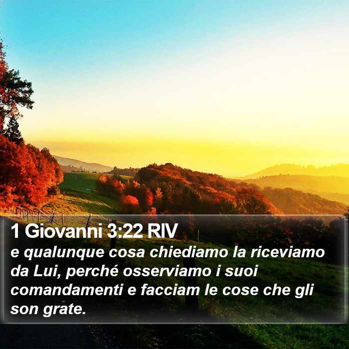 1 Giovanni 3:22 RIV Bible Study