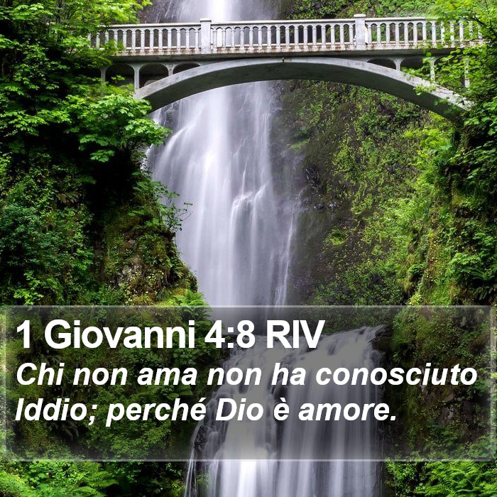1 Giovanni 4:8 RIV Bible Study
