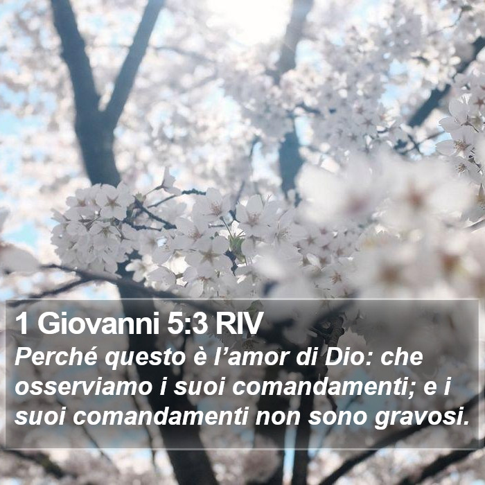 1 Giovanni 5:3 RIV Bible Study