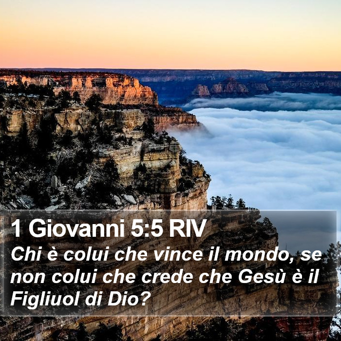 1 Giovanni 5:5 RIV Bible Study