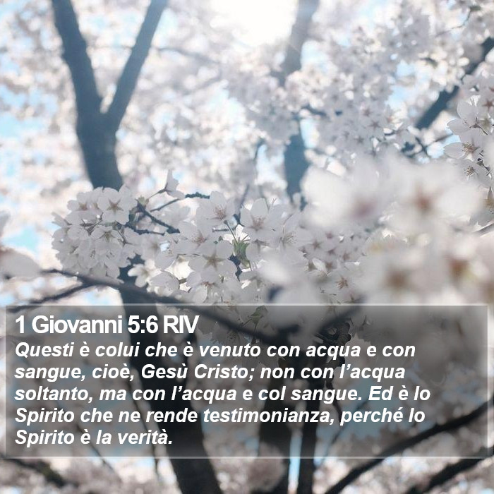 1 Giovanni 5:6 RIV Bible Study