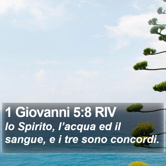 1 Giovanni 5:8 RIV Bible Study